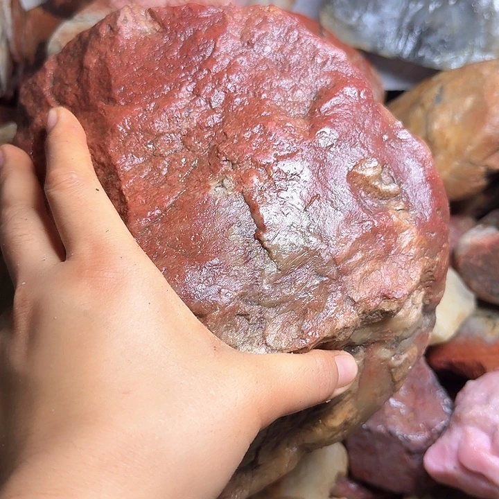 寿山石寿山石的颜色