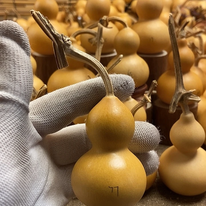 文玩葫芦 完美主义者 慎拍77