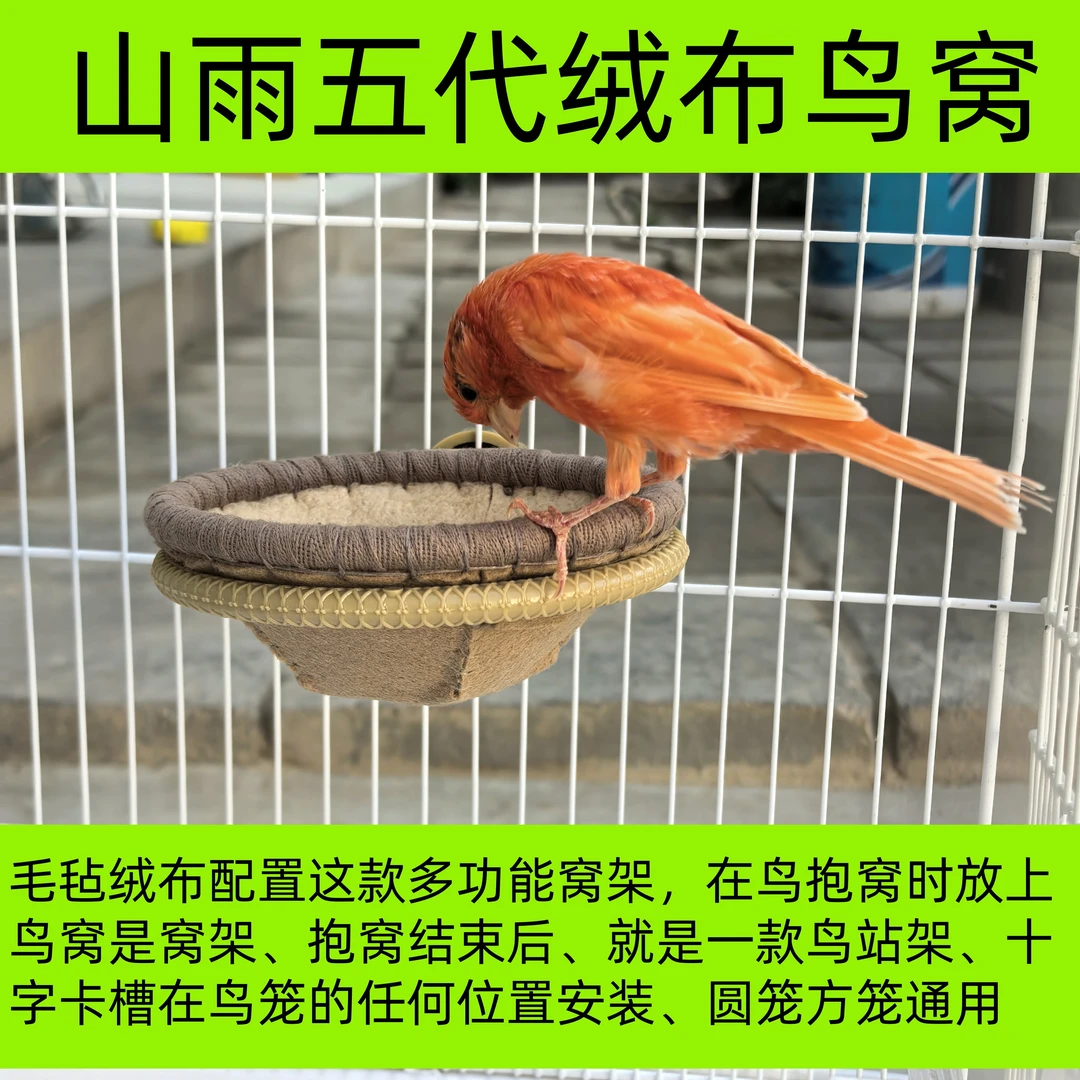 毛毡绒布鸟窝抱窝絮窝繁育雏鸟玉鸟芙蓉鸟大金黄金青灰燕文鸟黑喉