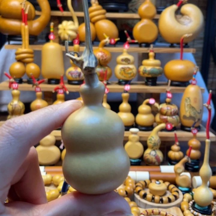 周****煲天然葫芦自然生长周口