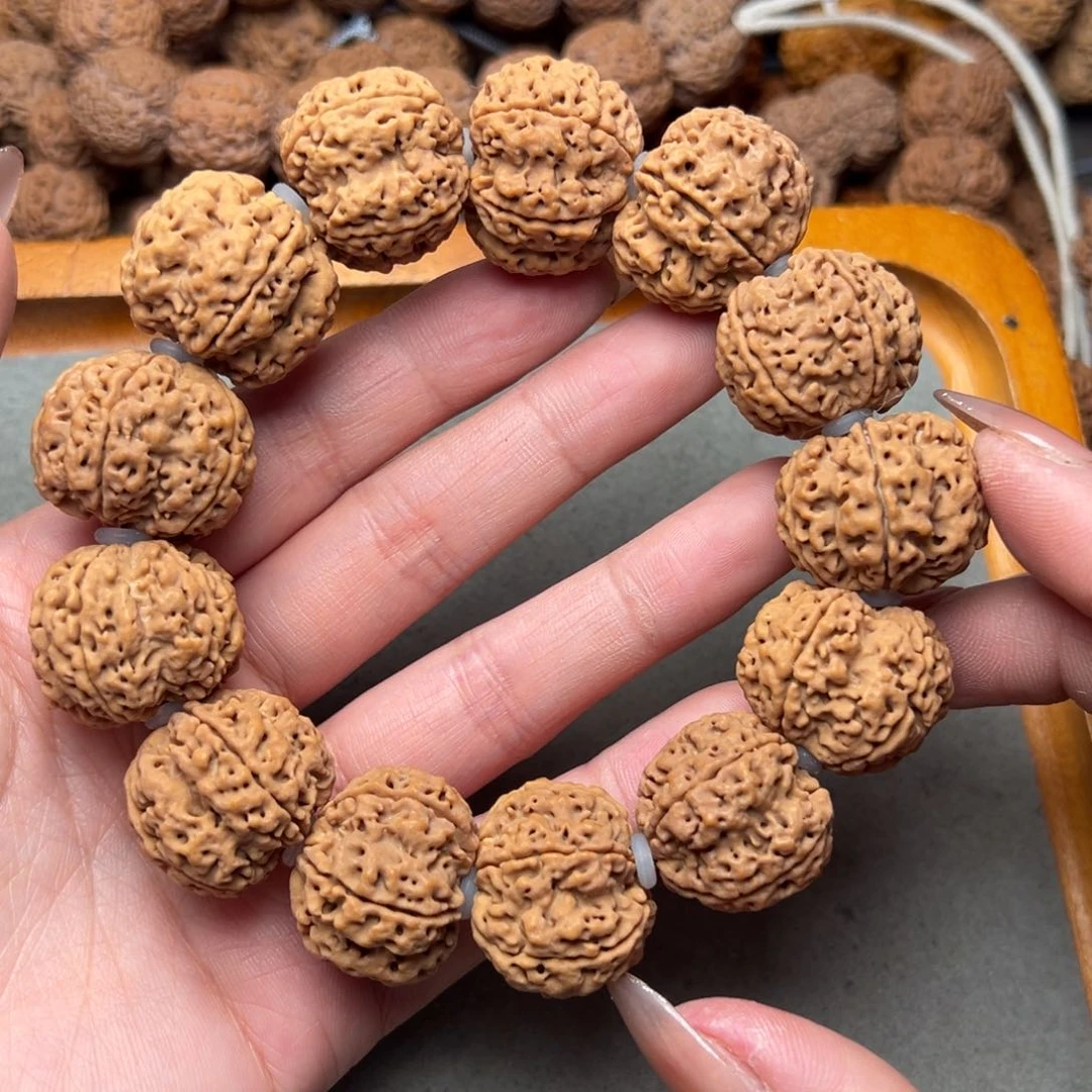 菩提25号金刚菩提梅花双龙24