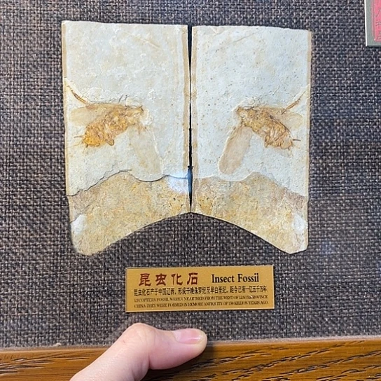 有机玻璃摆件专拍链接