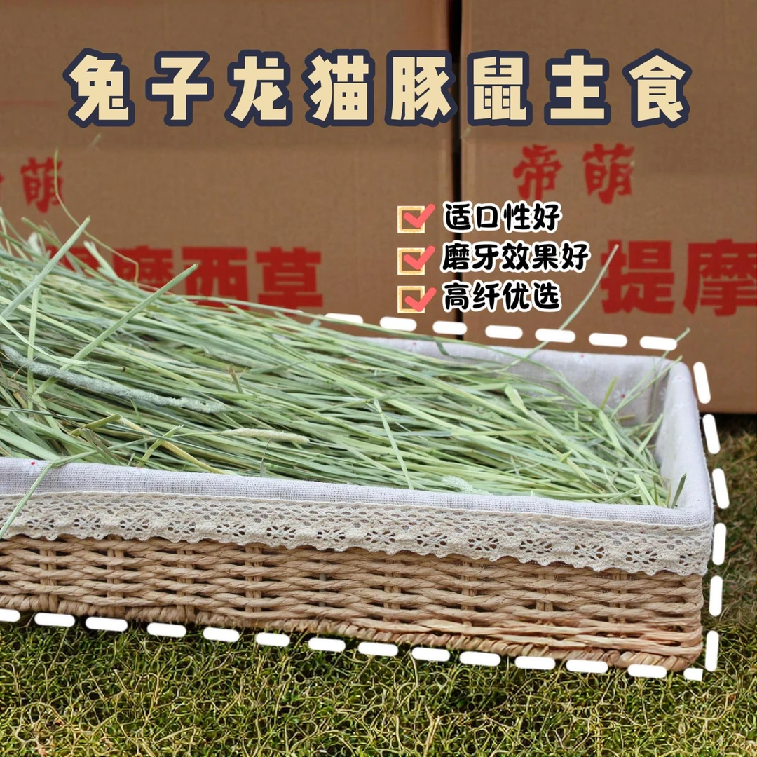 【普筛】2斤进口美提一番提莫西兔子龙猫豚鼠荷兰猪磨牙宠物晒干草