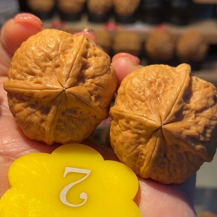 粗筋萌萌包地闷36尺寸