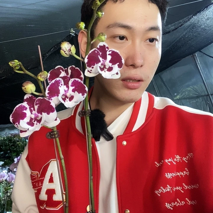 无花朵1001蝴蝶兰