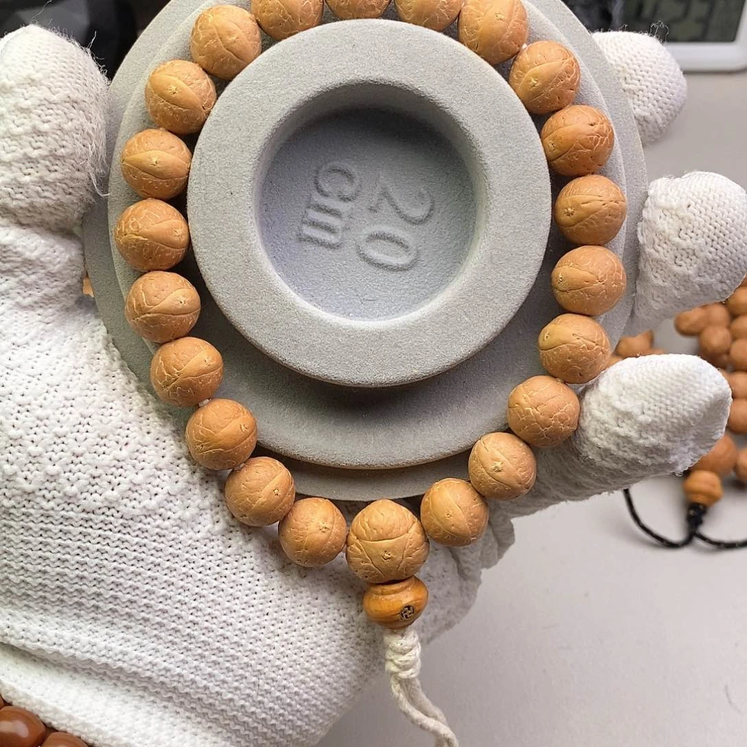 吊坠凤眼菩提12尺寸新籽