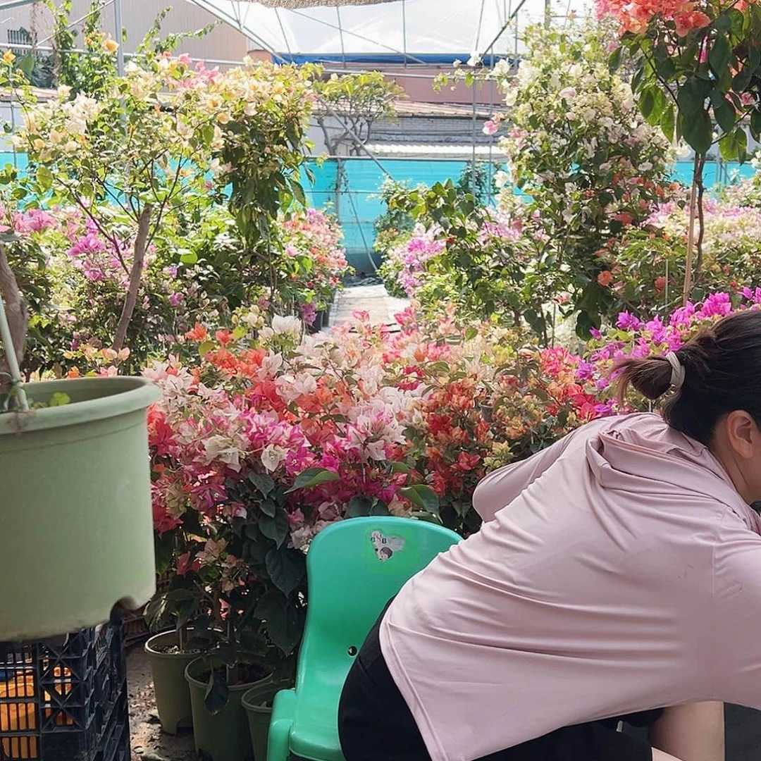 H***～大部分花苞少量开放J87不甜西瓜