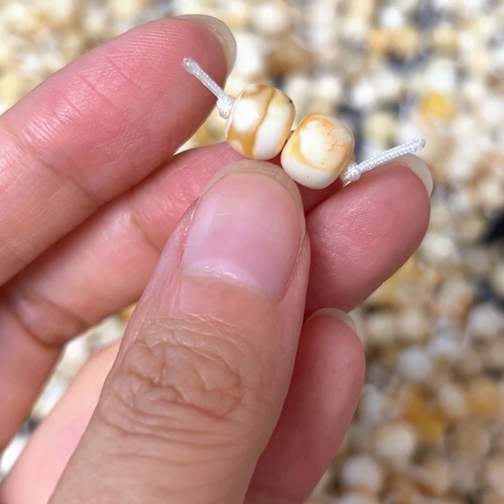 裸石蜜蜡未镶嵌8.1mm一对