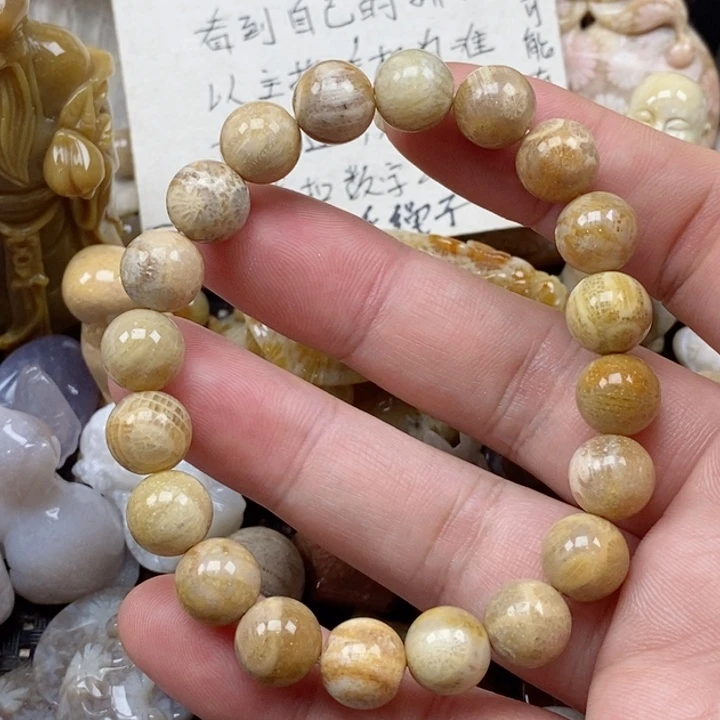 颈饰未镶嵌硅化珊瑚（珊瑚玉）