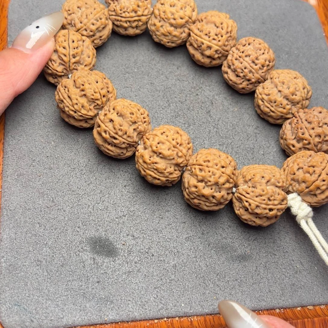 菩提6号尼泊尔大金刚24梁梅花蜂窝