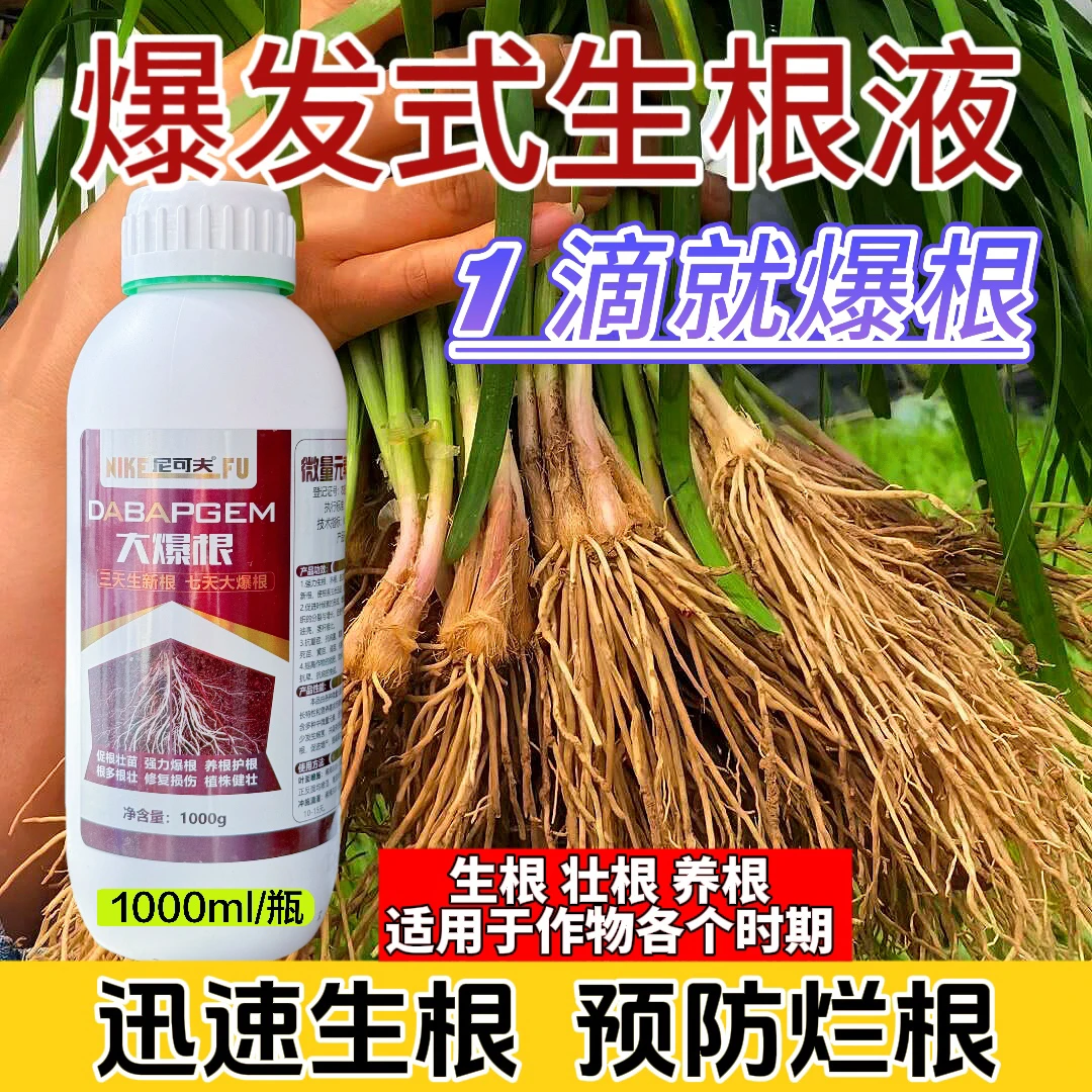 强力生根剂大爆根生根液水溶肥料壮苗蔬菜果树通用型