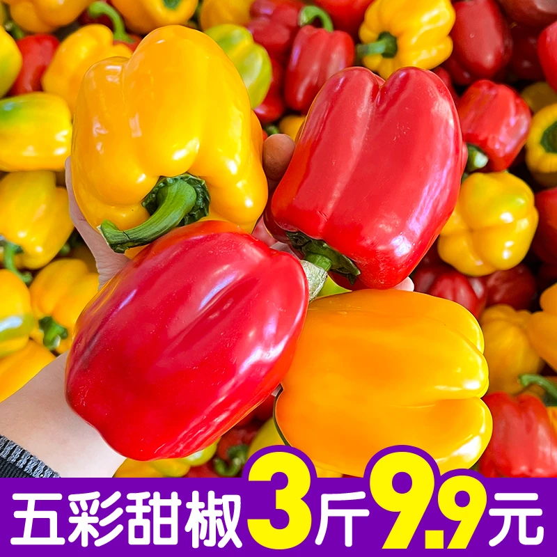 回馈粉丝 3斤水果彩椒 顺丰包邮9.9元