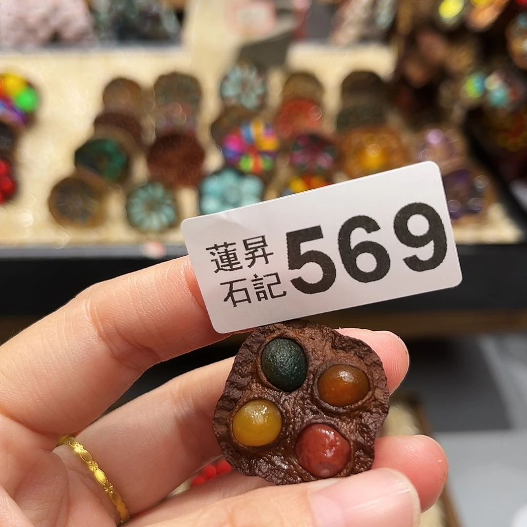 晚***秋核桃木/黑胡桃（胡桃木）569