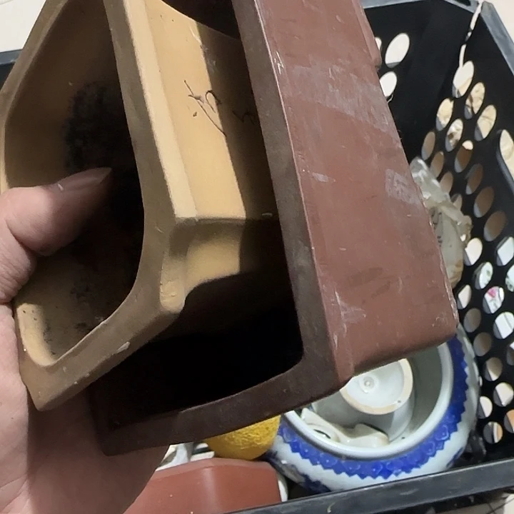 香榧木G**味Ghghghghghgh