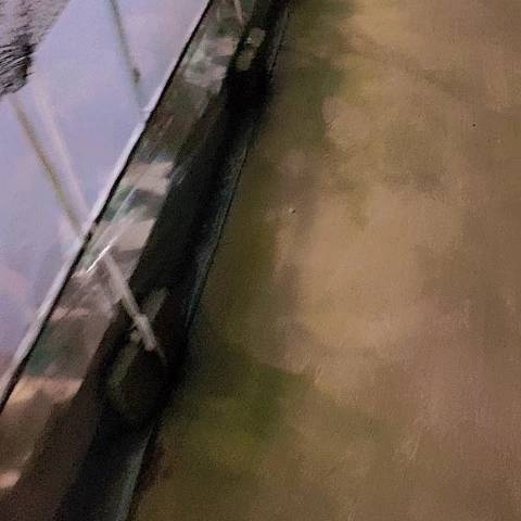 玲****植物通用羊粪两包
