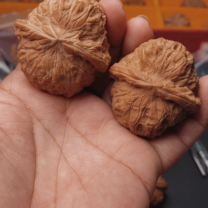 核桃南瓜墩45尺核桃