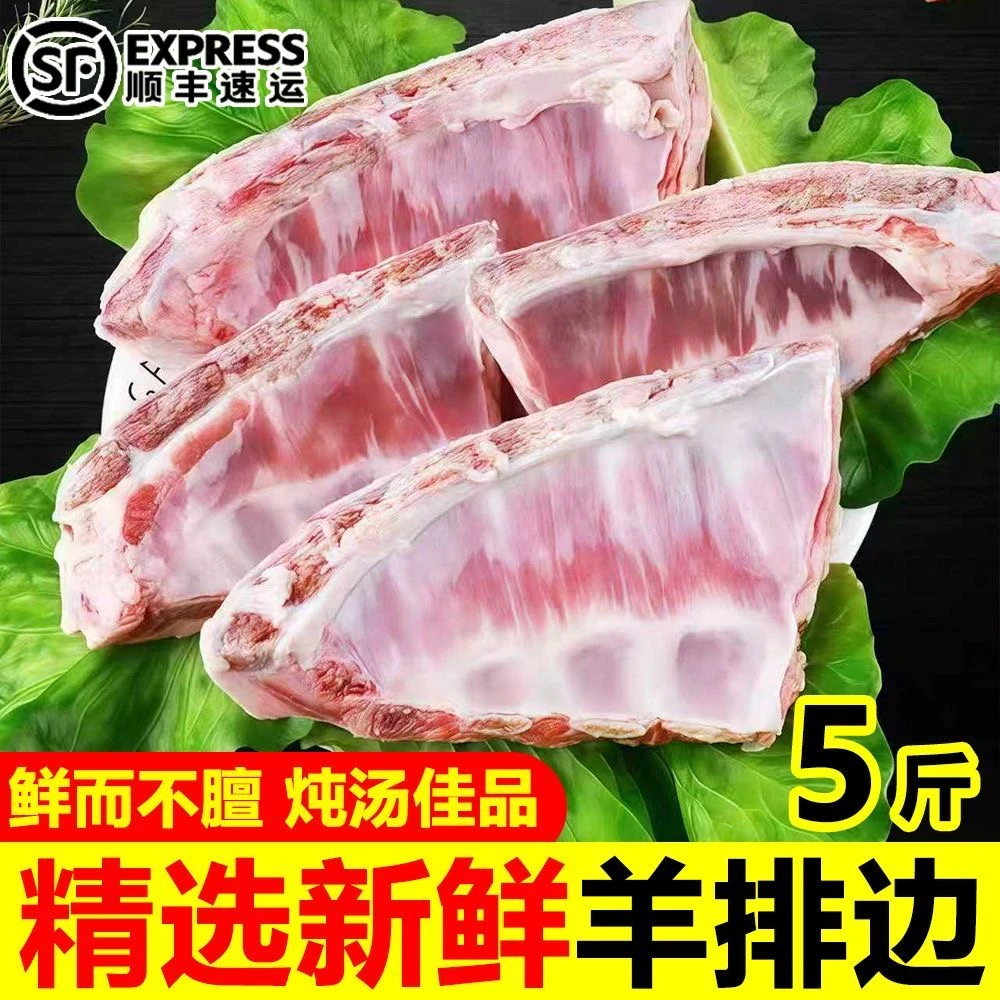 5斤羊排尖羔羊胸排边块块家用商用批发顺丰冷链