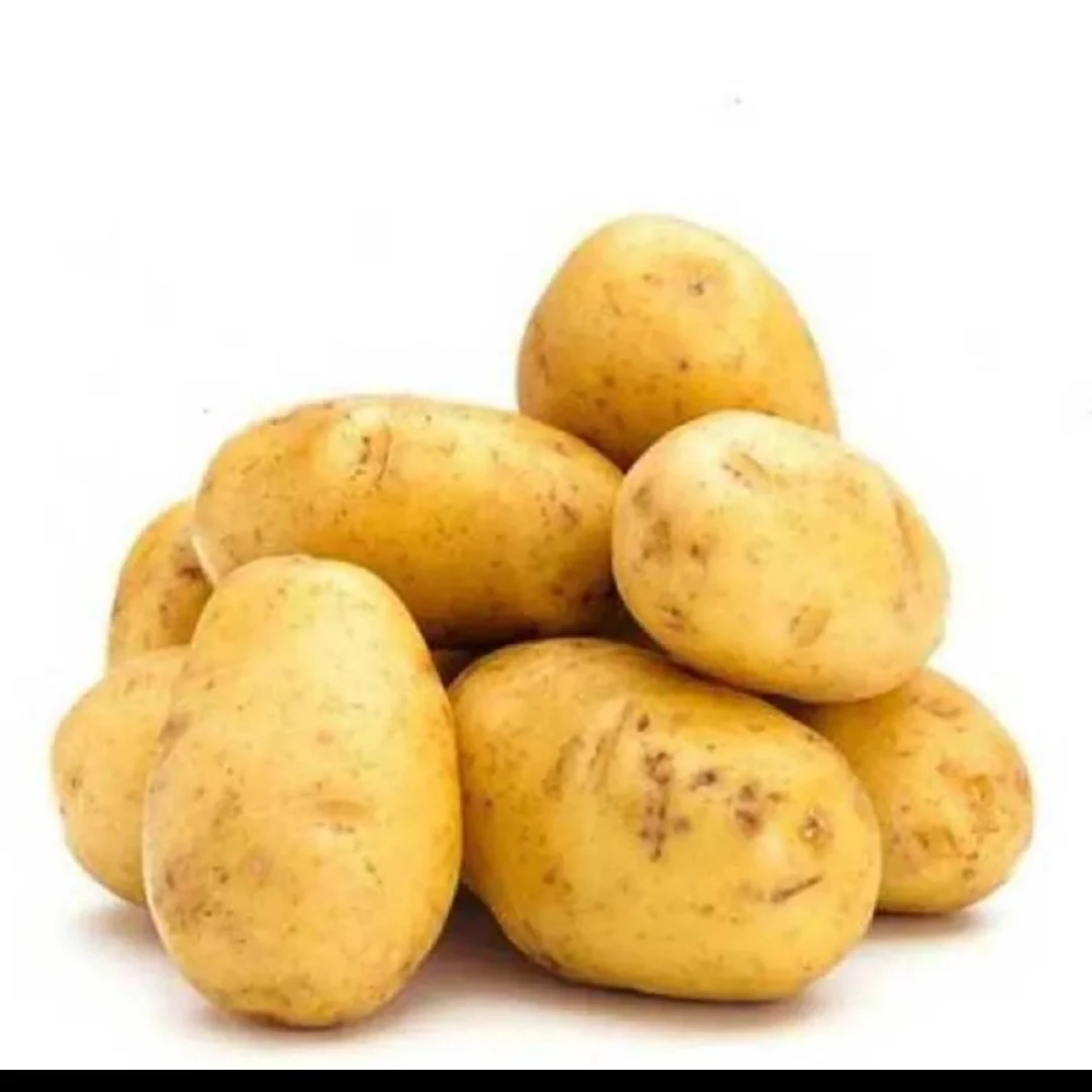 土豆  约500g 任选绿色蔬菜土豆同城配