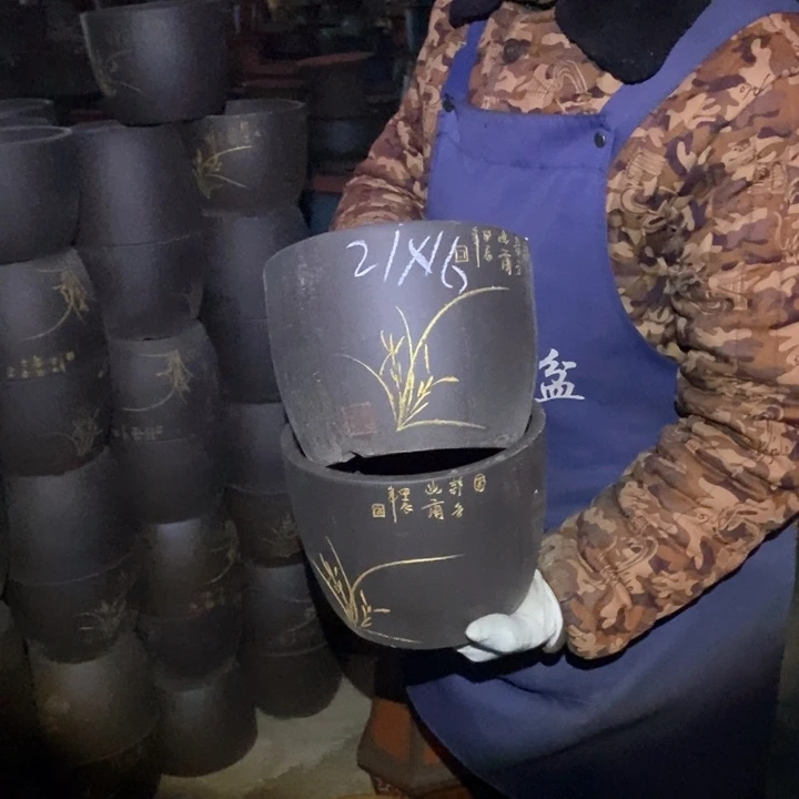 紫砂花盆盆栽花卉苗木种植