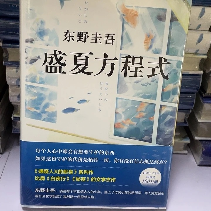 盛夏方程式 精装带塑封