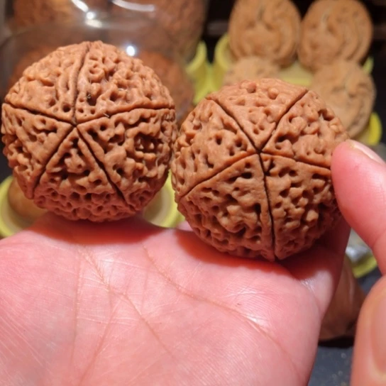 文玩核桃把件五瓣金刚菩提