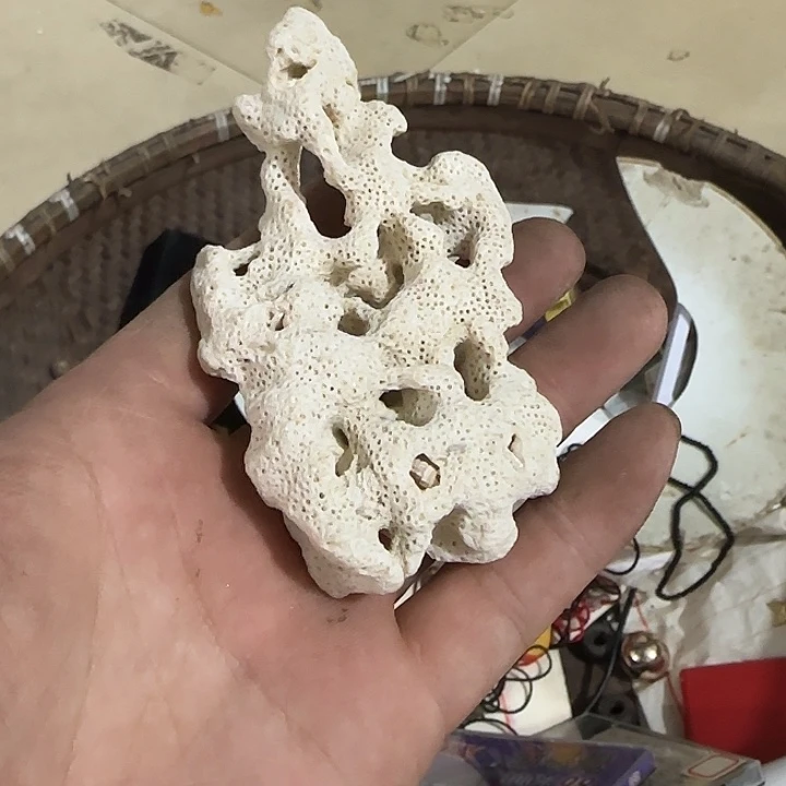 水***月扇子故哈哈哈哈哈哈哈哈哈哈
