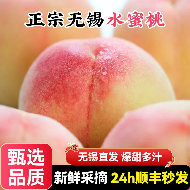 【5-6两9个】正宗无锡水蜜桃湖景新鲜水果当季整箱湖景山礼盒