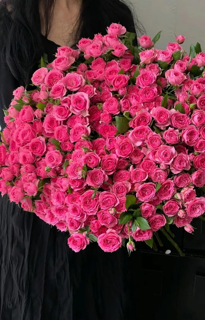 [牛牛甄选]苏菲宝贝多头玫瑰云南基地现采任意凑满两单升级空运