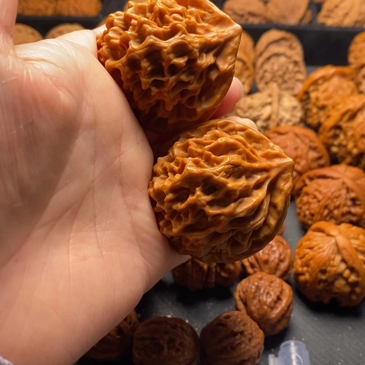 秦岭野生11111111111