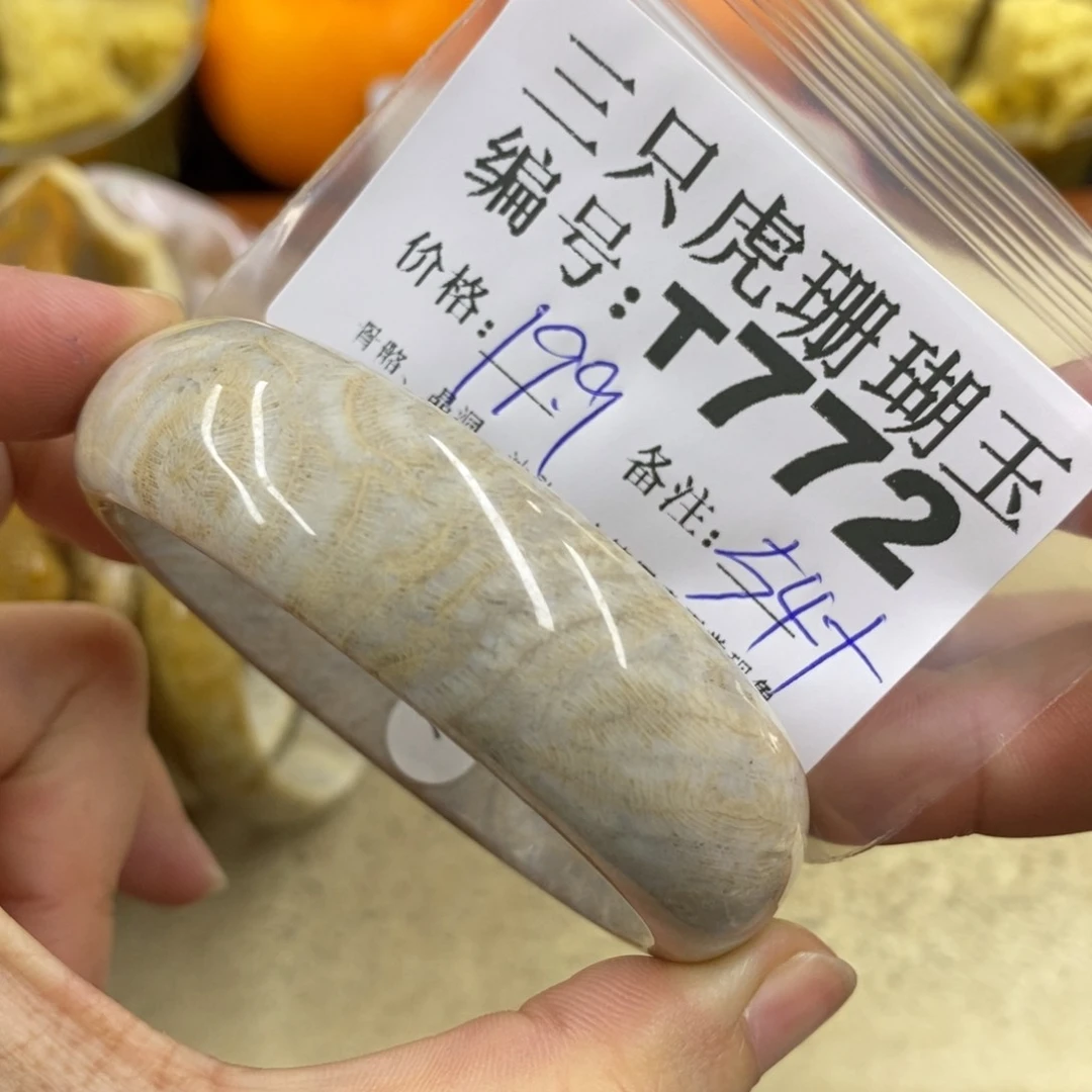 硅化珊瑚（珊瑚玉）1未镶嵌鱼