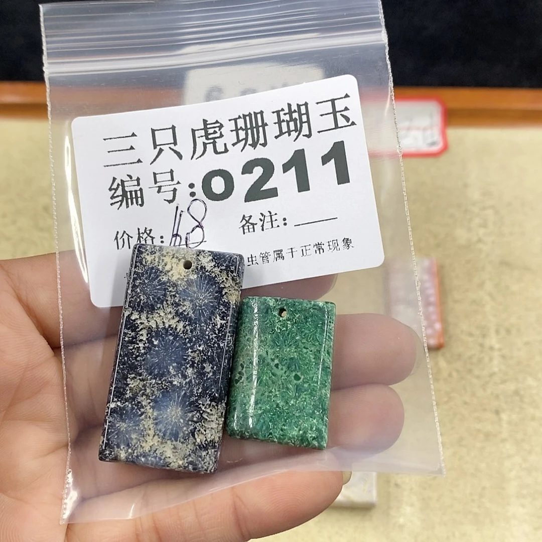 硅化珊瑚（珊瑚玉）1未镶嵌曾**时