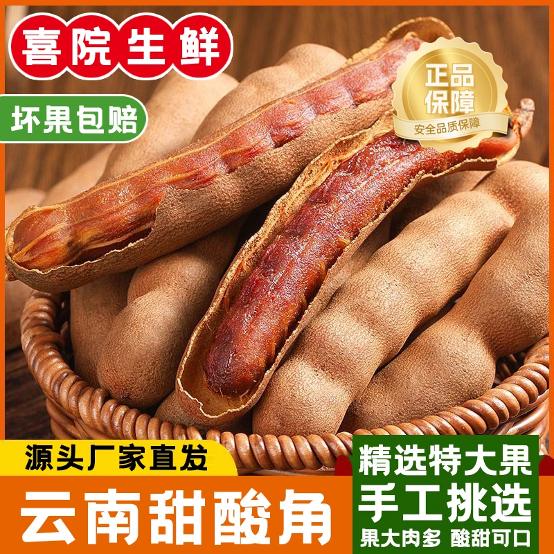 【精选】正宗云南特产新鲜带壳甜酸角精选大果罗望子孕妇休闲生鲜