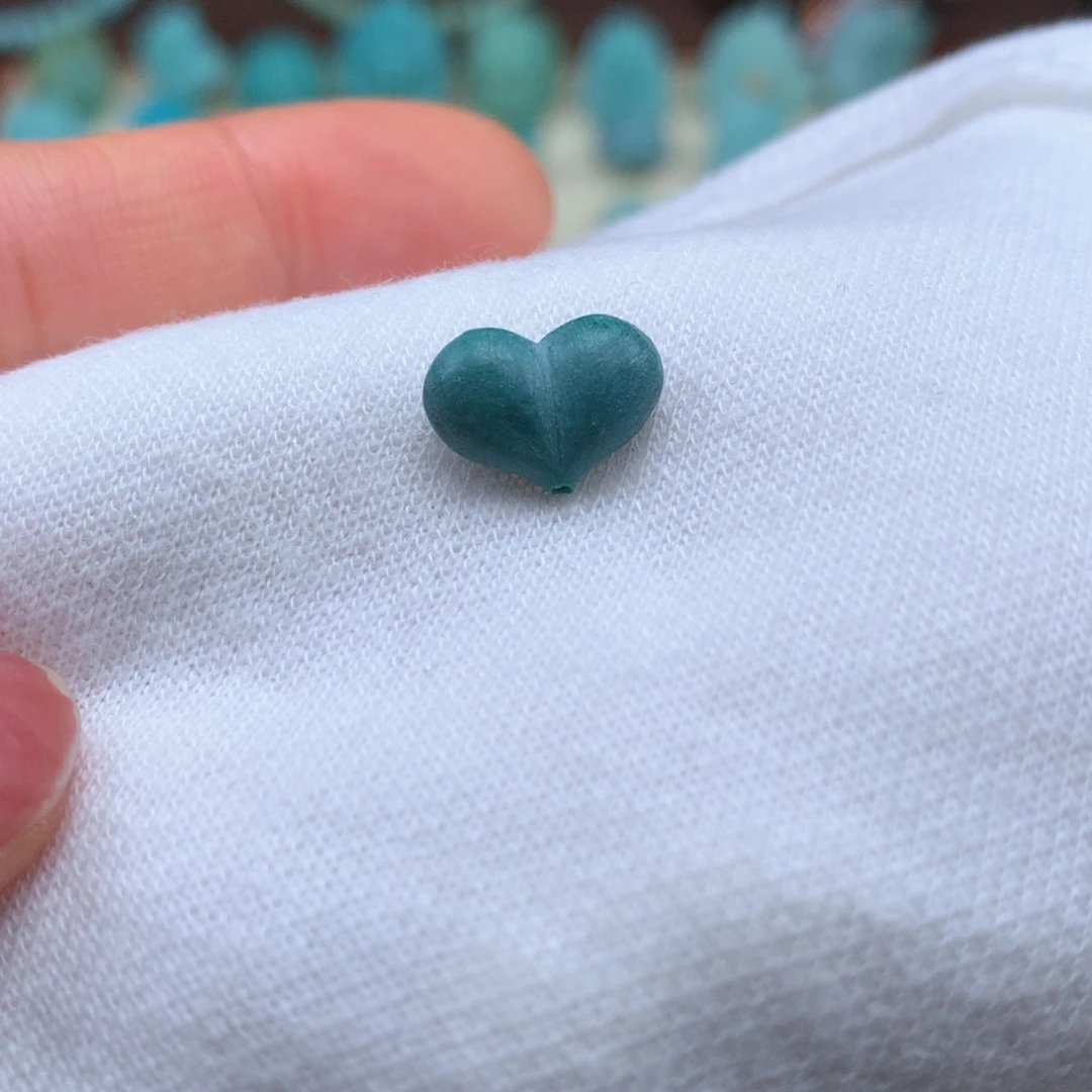 绿松石未镶嵌绿松石