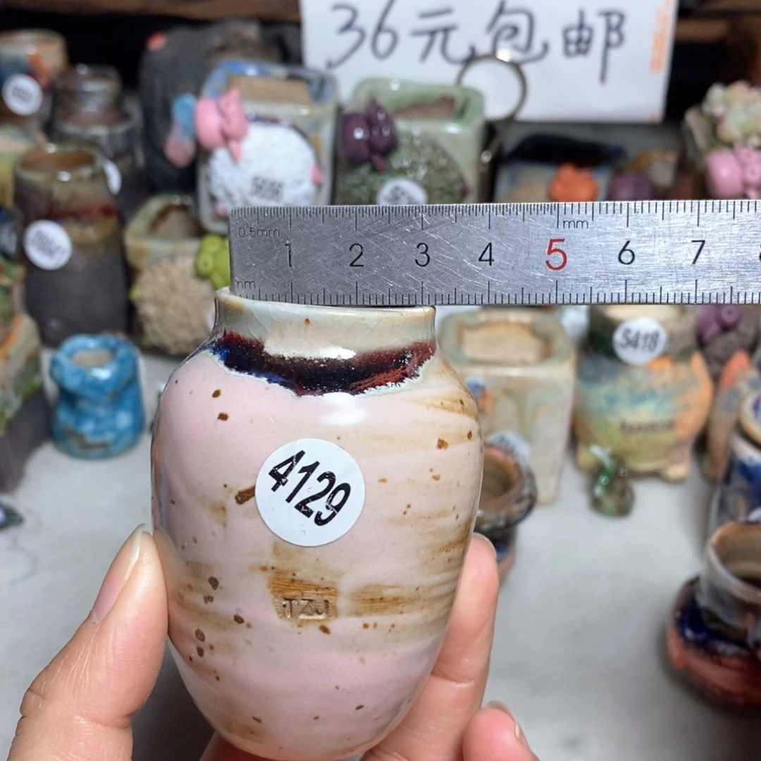 拍5送一个小礼物
