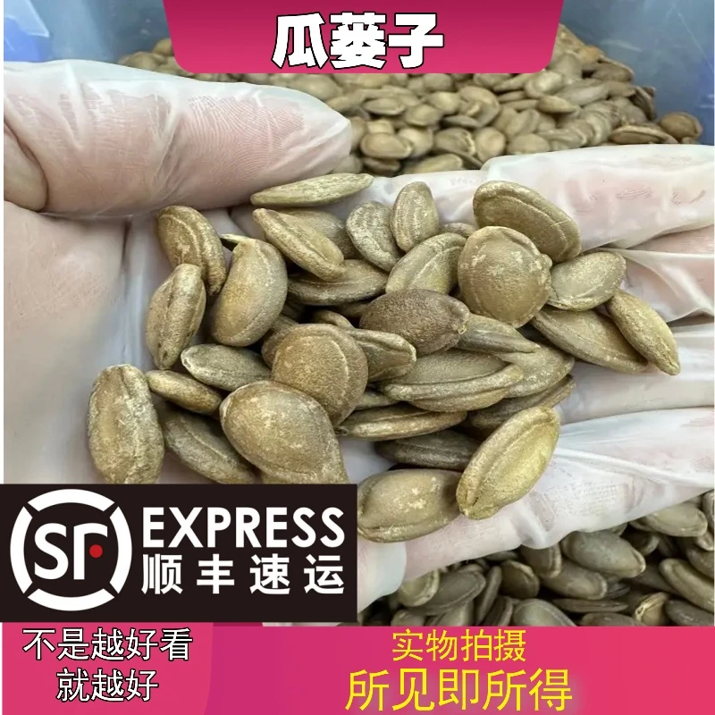 瓜蒌子成都中药材批发别名：栝楼子、瓜蒌仁、栝蒌子仁