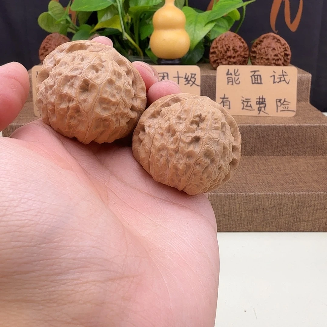 全品南瓜敦43/46/37