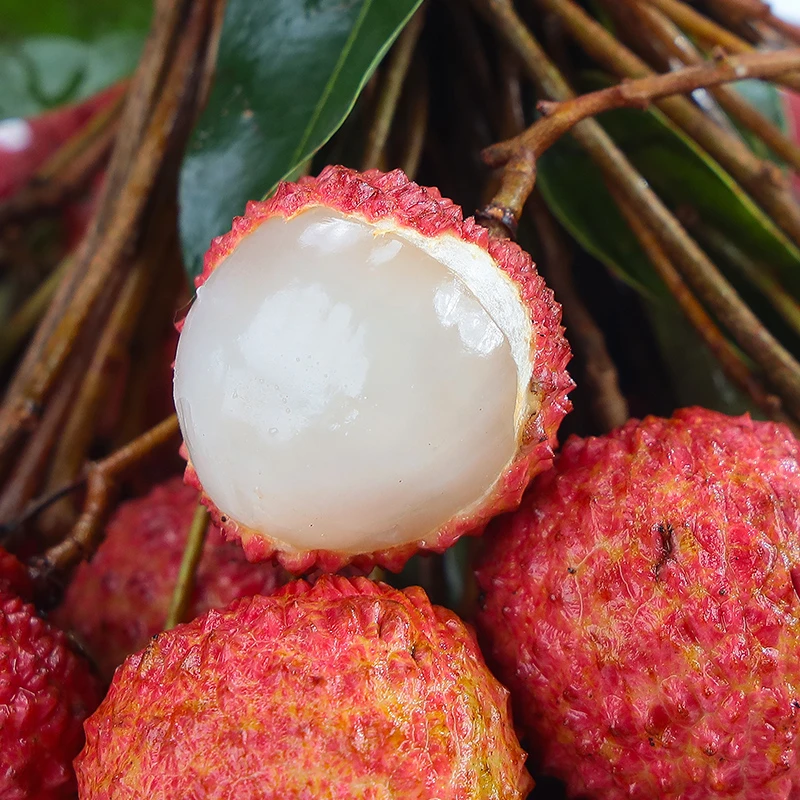 【奇幻果园】广东桂味荔枝4.5斤装 单果13g+