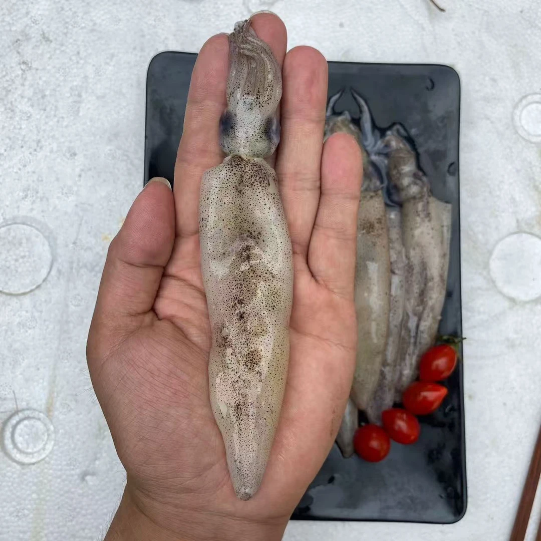 海兔新鲜水产鲜嫩