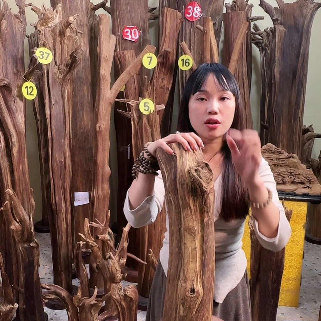 沉香沉香碎屑天然沉香原材料香料熏料