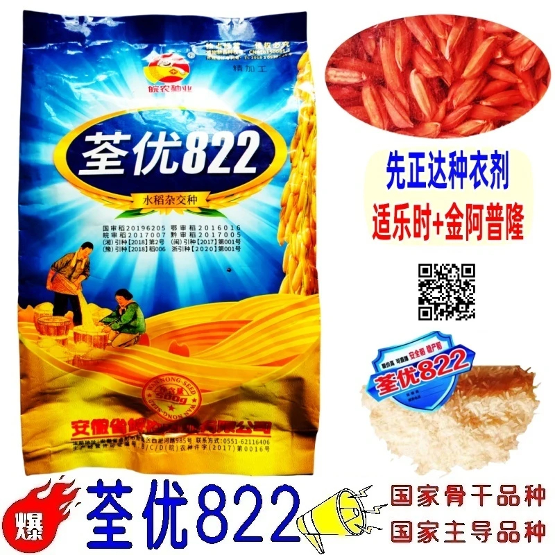 822荃优822新种子黄袋蓝袋杂交稻种子全优822国审骨干品种全新籽