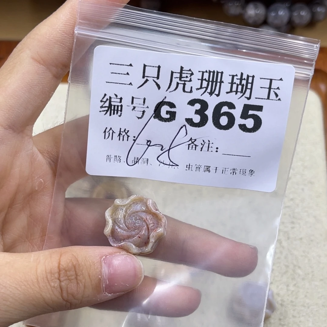 司***雪未镶嵌h硅化珊瑚（珊瑚玉）