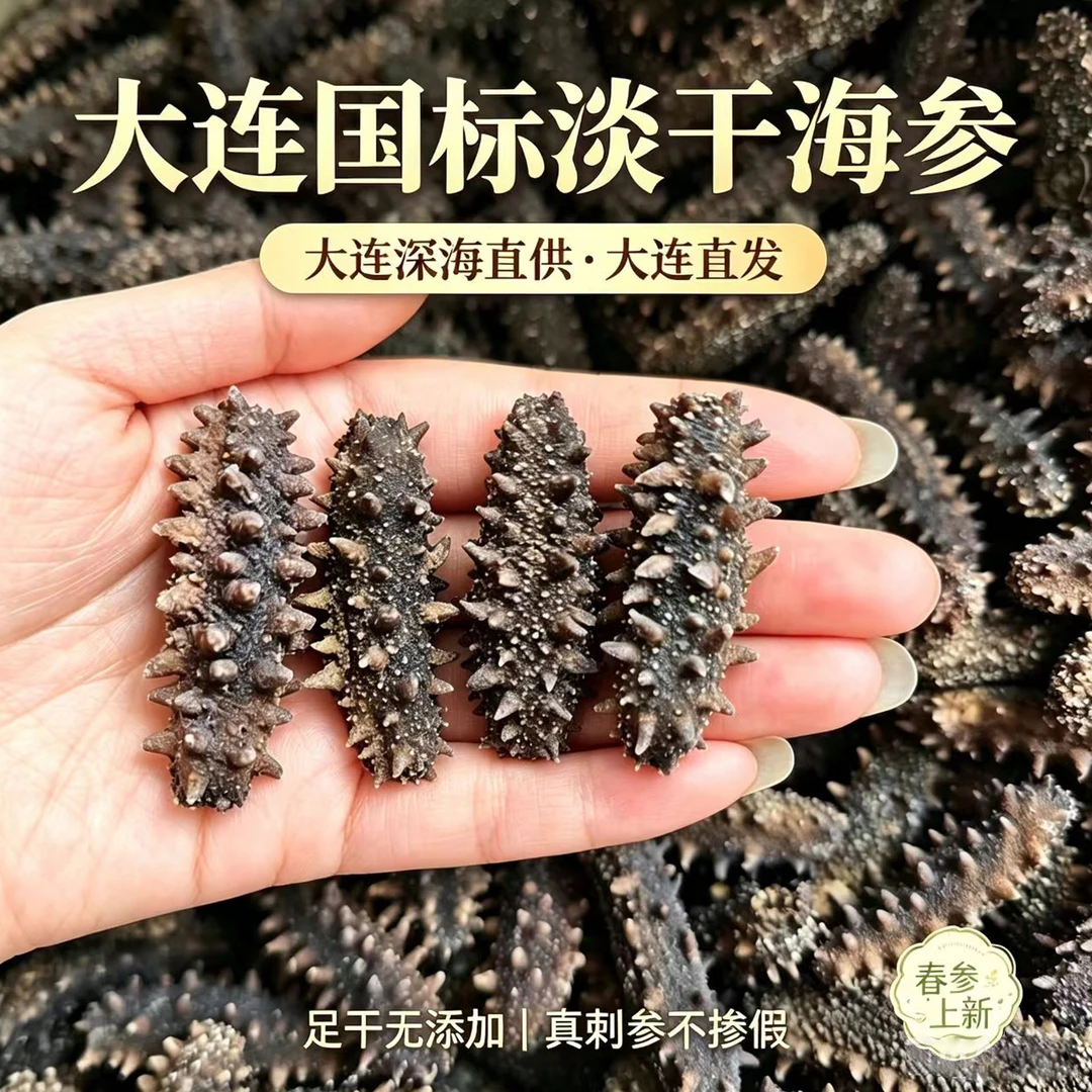 273克春参上新60-100头/斤大连发货干海参深海高品质海参纯淡干