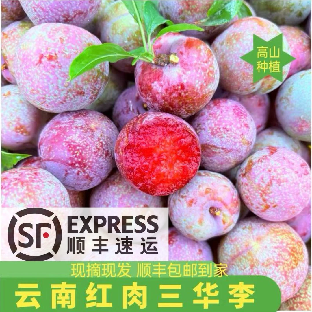 时令应节现货速发云南红心李子酸甜爽口孕妇当季新鲜水果