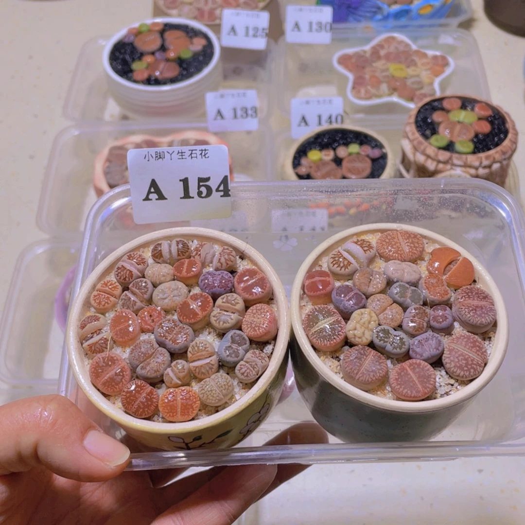 154小黄车链接是刚刚