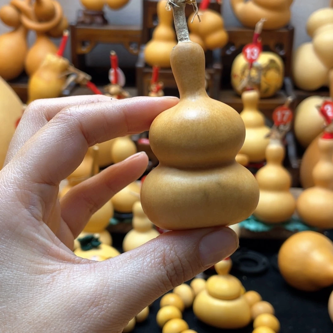 ?****?大自然的秘密第十一节你是谁