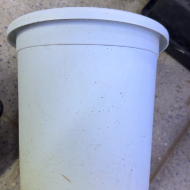 大灰白盆2个口径20公分左右无托盘，20包邮