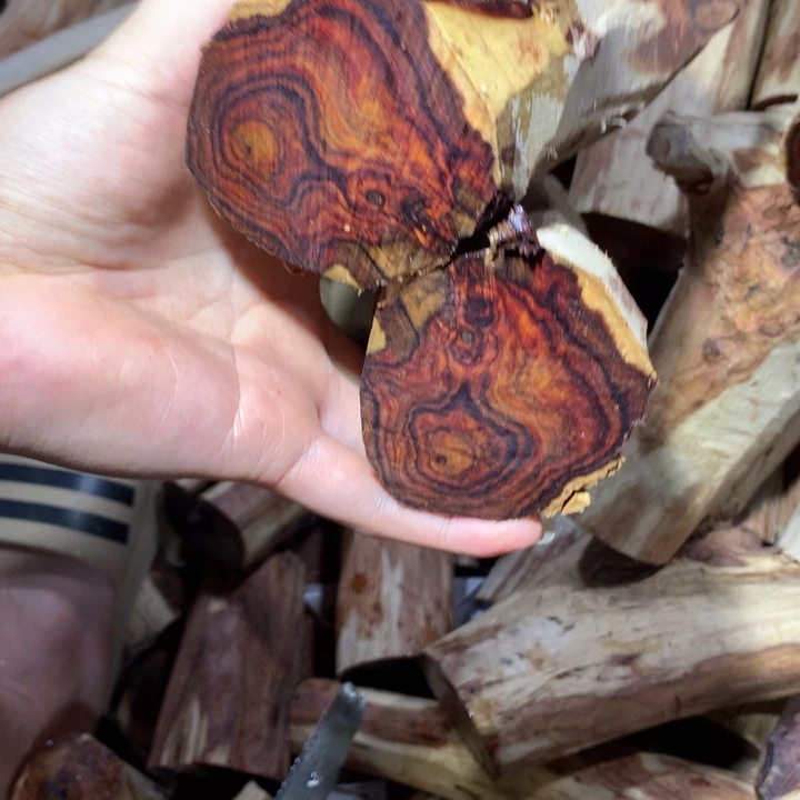 花梨木类海南黄花梨