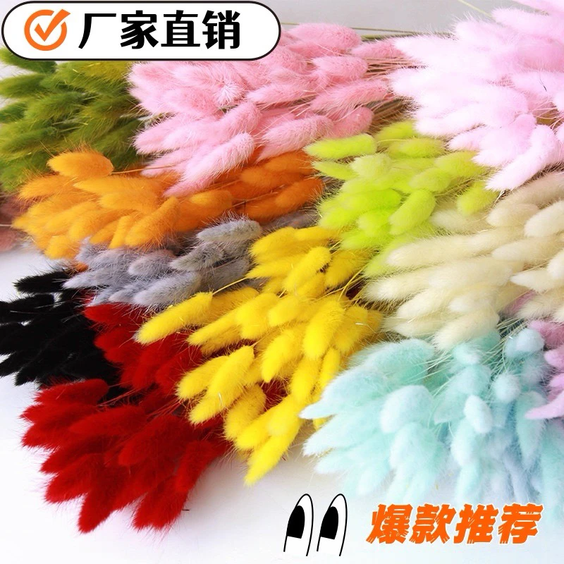 彩色兔尾草干花家居装饰拍照道具永生花材