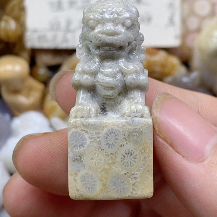 颈饰未镶嵌硅化珊瑚（珊瑚玉）