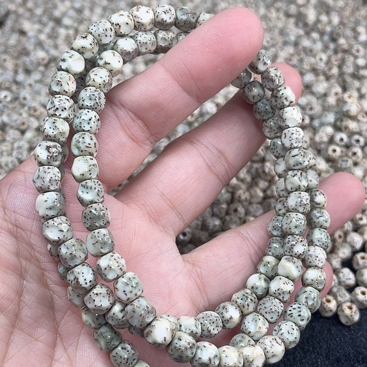 骑***猫手串星月菩提新款无相120